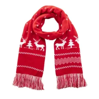 Christmas winter scarf - AP800226 (ANDA#05)